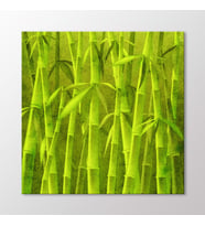 Arty Tablo Bambu Tablo (Karışık)