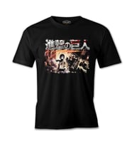 Attack on Titan - Walls