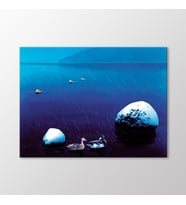 Arty Tablo Karda Ördekler Tablo (Karışık)