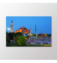 Arty Tablo Ayasofya Camii Tablo (Karışık)