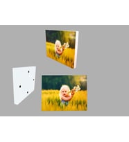 fotoğraf baskı ( 20x25 blok baskı )