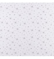 Evim PVC Asma Tavan Paneli Silver Star TR17-3 (10 ADET)