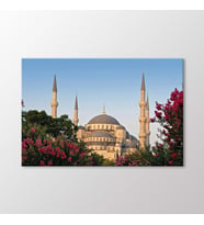 Arty Tablo Sultanahmet Camii Tablo (Karışık)