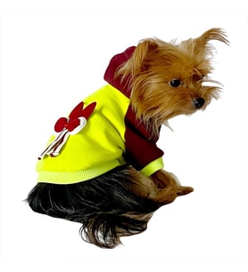 Bunny Bordo Fosfor Kapşonlu Sweat by Kemique Köpek Kazağı 