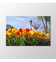 Arty Tablo Laleler Tablo (Karışık)