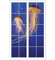 Renkselart Pencere, Deniz Anasi, Akvaryum, Deniz Dibi Duvar Sticker-55