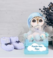 Kişiye Özel Hoşgeldin Bebek Aranjman Hediye Seti 93860 (Mavi)