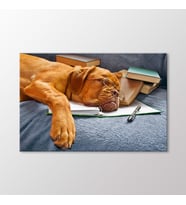 Arty Tablo Köpek Tablo (Karışık)