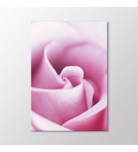 Arty Tablo Pembe Gül Tablo (Karışık)