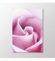 Arty Tablo Pembe Gül Tablo (Karışık)