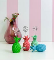 Ananas Not Tutucu
