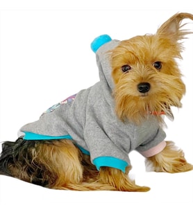 Kitty Grey Kapşonlu Sweat by Kemique Köpek Kazağı (Gri)