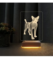 Kedi Tasarım 3d Çocuk Odası Gece Lambası Doğum Günü Hediyesi
