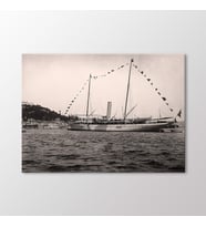 Arty Tablo Bebek, 1901 Tablo (Karışık)