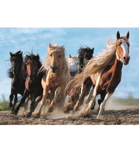 Trefl Puzzle Galloping Horses 1000 Parça