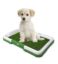 Köpek Tuvalet Eğitim Seti: Potty Trainer