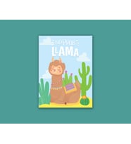 Lama No Problama Tasarımlı A4 Kuşe Kağıt Poster (Karışık)