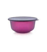 Tupperware Aloha Saklama Kabı 4 lt