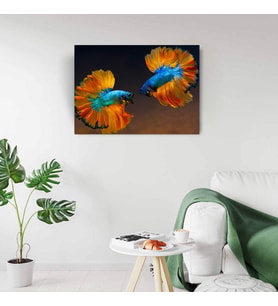 Beta Balıkları Canvas Tablo (50X70) (Acı Kahve)