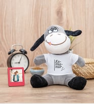 İsme Özel Heceli Peluş Eşek ve Mini Fotoğraf Çerçevesi