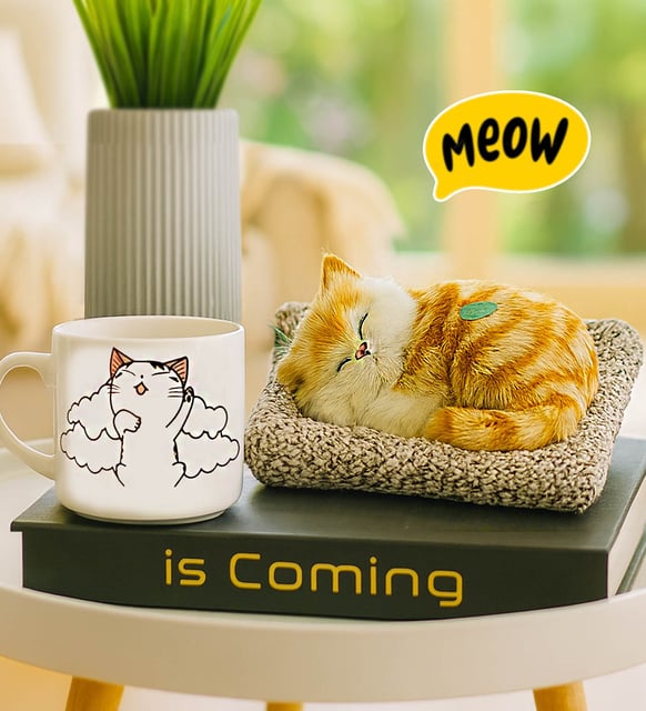 Minderde Uyuyan Sesli Miyavlayan Kedi & Uykucu Kedi Kupa Hediye Seti