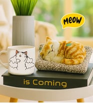 Minderde Uyuyan Sesli Miyavlayan Kedi & Uykucu Kedi Kupa Hediye Seti