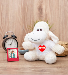 İsim Yazılı Kırmızı Kalpli Peluş Koyun ve Mini Fotoğraf Çerçevesi
