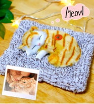 Kişiye Özel Fotoğraflı Sweet Cat Minderde Uyuyan Sesli Peluş Kedi