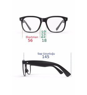 WEB W 0230 16C ERKEK GÜNEŞ GÖZLÜĞÜ