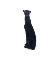 43 Cm Chita Biblo