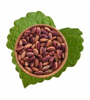 İç Antep Fıstığı Çiğ 500 g