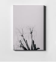 Modern Sanat Kanvas Tablo 50x70cm 13