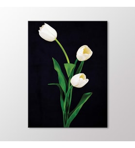 Arty Tablo Beyaz Laleler Tablo (Karışık)