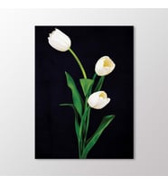 Arty Tablo Beyaz Laleler Tablo (Karışık)