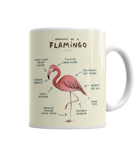 Bir Flamingo Anatomisi Kupa Bardak Porselen