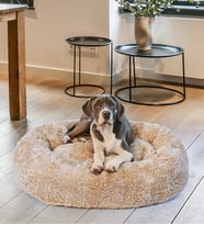 Özgüner Oyuncak Köpek - Kedi Evcil Hayvan Yatağı (%100 yerli) (Bej - S beden) (Kahverengi)