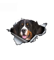 Bernese dağ köpeği yırtık Metal araba Sticker su geçirmez