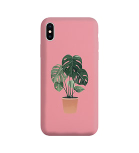 Pudra Lansman Kılıf iPhone X