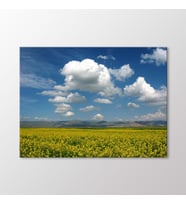 Arty Tablo Van Tablo (Karışık)