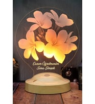 Mezuniyet Hediyesi Plumeria Çiçeği Led Lamba, Öğretmene Çiçekli Hediye, Kişiye Özel İsimli Hediye