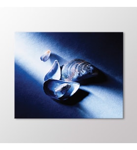 Arty Tablo Midye Kabukları Tablo (Karışık)