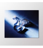 Arty Tablo Midye Kabukları Tablo (Karışık)