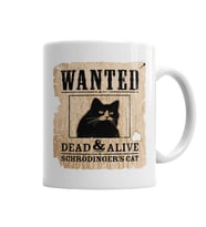 O Gato De Schrödinger  Cat Kedi Kupa Bardak Porselen
