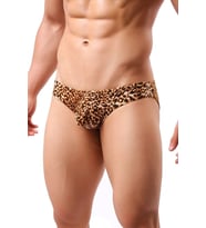 Merry See Leopar Desenli Erkek Slip (Çok Renkli)