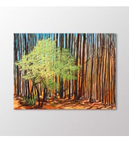 Arty Tablo Orman Tablo (Karışık)