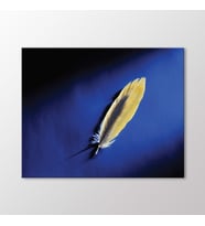 Arty Tablo Kuş Tüyü Tablo (Karışık)