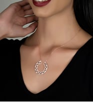 Gümüş Zirkon Taşlı Halkalar Çemberi Tasarım Kolye (Rose)