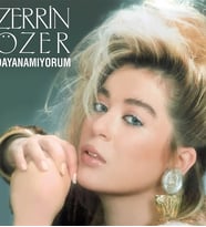 Zerrin Özer  Dayanamıyorum Plak