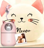 Kişiye Özel Sevimli Kedi Gece Lambalı H2o Oda Kokusu Nemlendirici  & Kedi Yastık