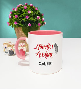 Yönetici Asistanı Tasarımlı Kişiye Özel Yönetici Asistanı Kupa Bardak Pembe